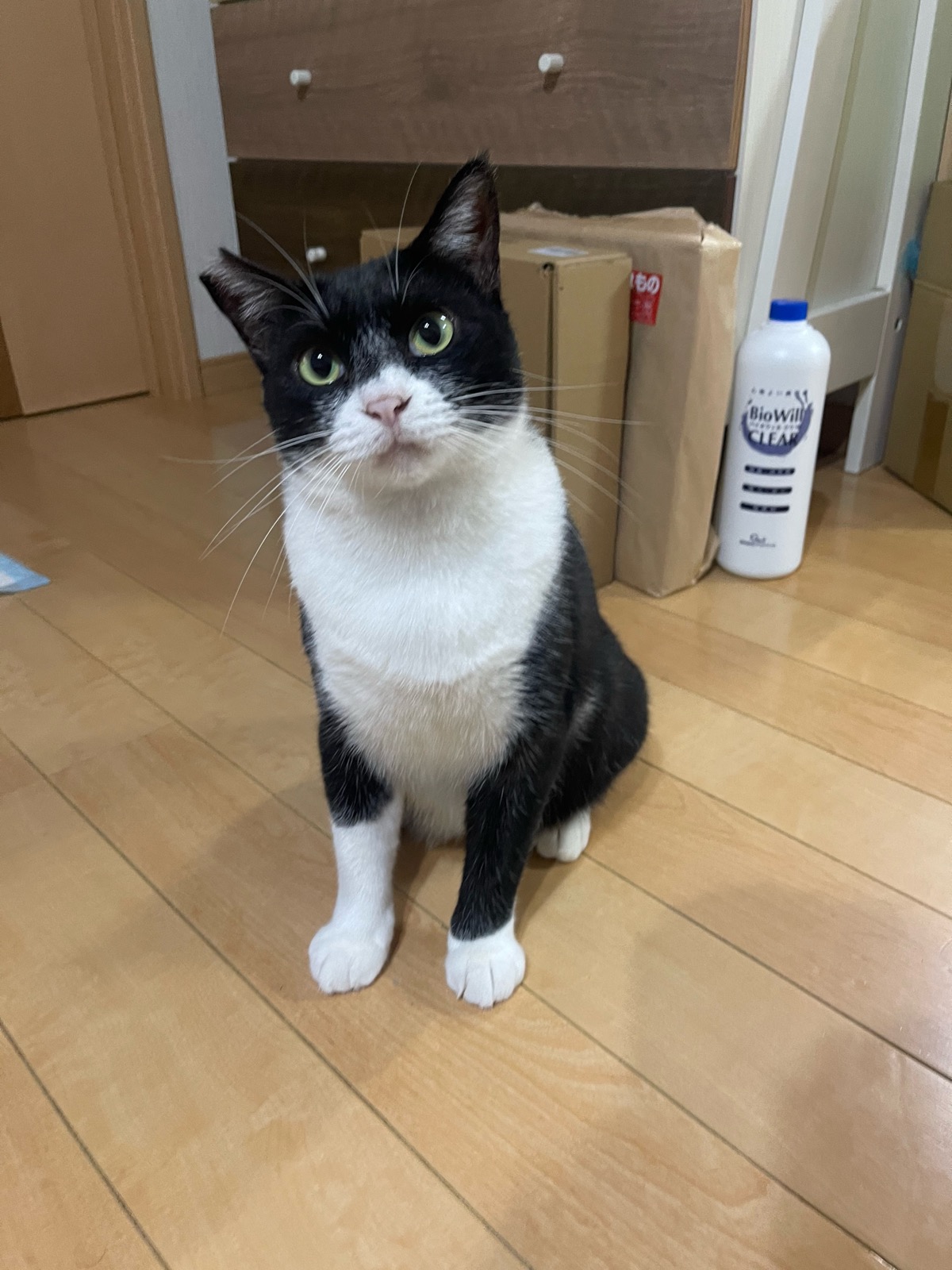 ドロン 3
