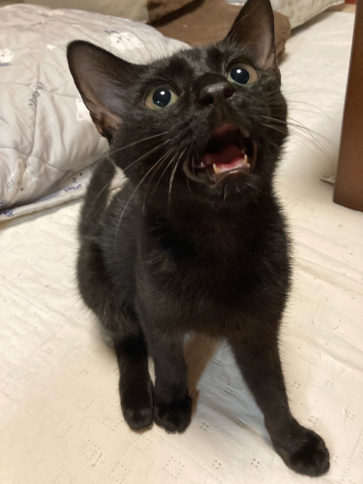みお　懐っこい 2